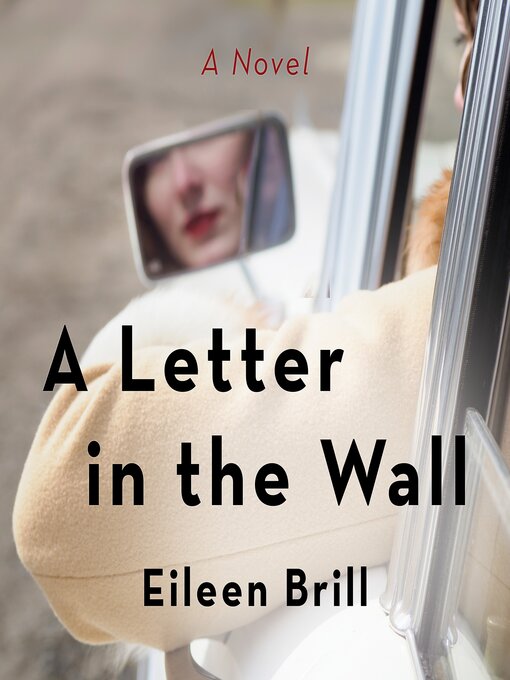 Title details for A Letter in the Wall by Eileen Brill - Wait list